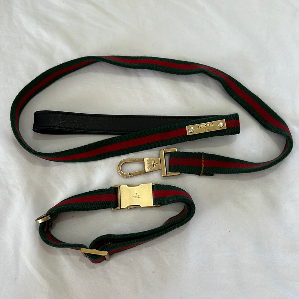 Gucci dog collar and Leash